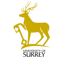 You are currently viewing University of Surrey